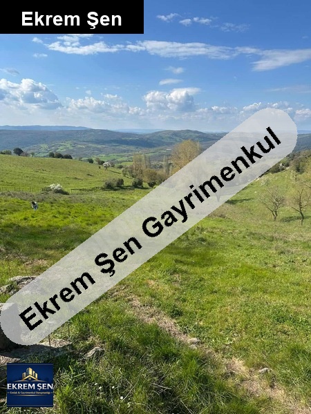 acil kaçmaz tarla