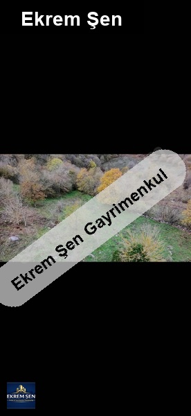 11500 m2 sahibinden yatırımlık arsa