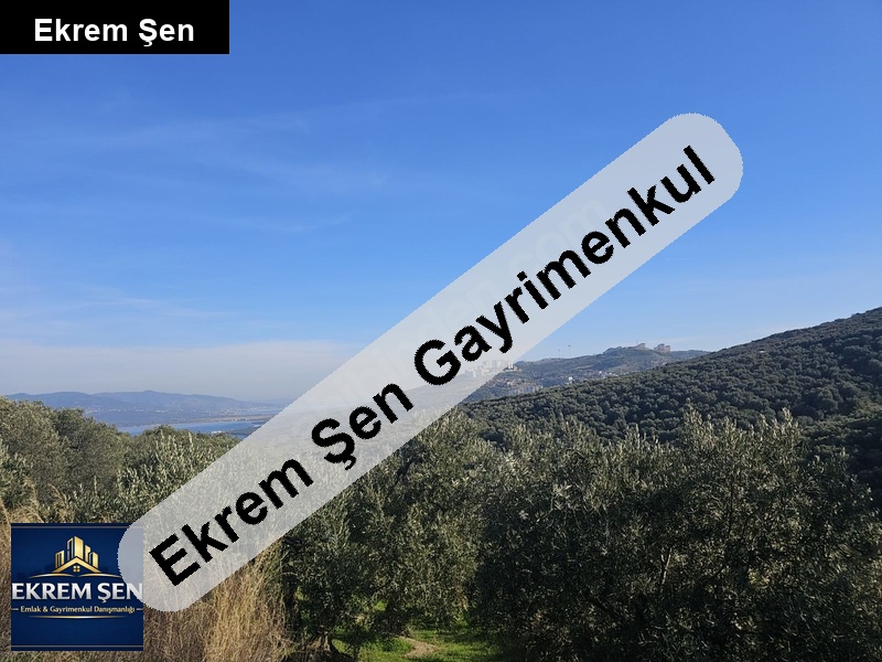 sahibinden sitenin en uygunu