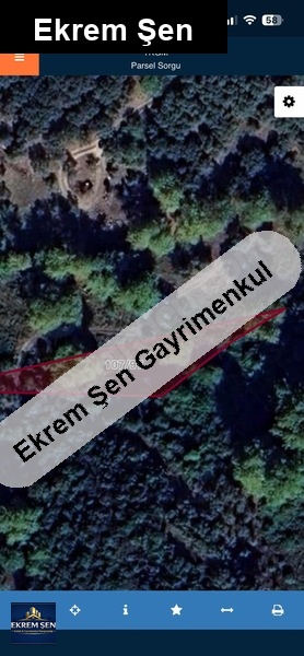 doğanların incisi kazandıracak olan tarla