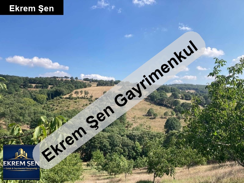 gönen sögüt hayvancilik veya enerji üretimine uygun tarla