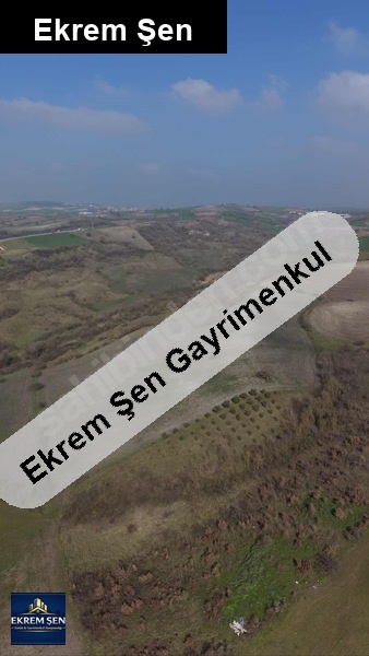 susurlukta 16.800 m² tarla | 50 zeyti̇n ağaci bölgeni̇n en ucuzu