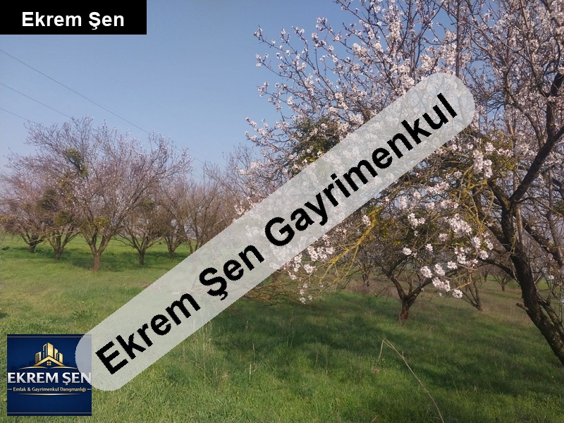 uygun fiyatlı hobi bahçesi - bademlik 2389m2 büyük bostancı