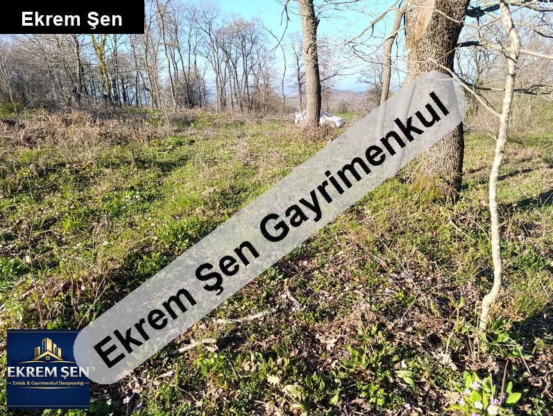 yörük köyü alaşar da eski̇ bağlik