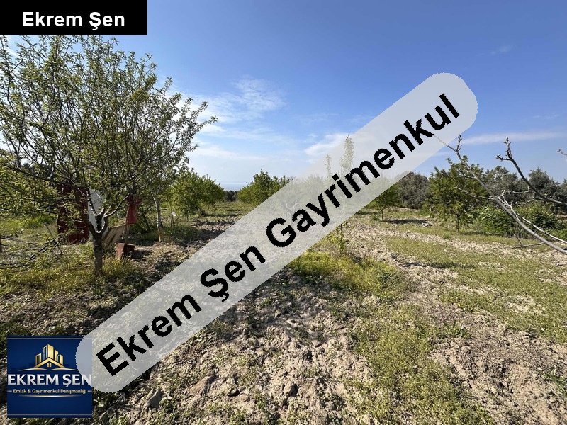 göl manzaralı meyve bahçesi