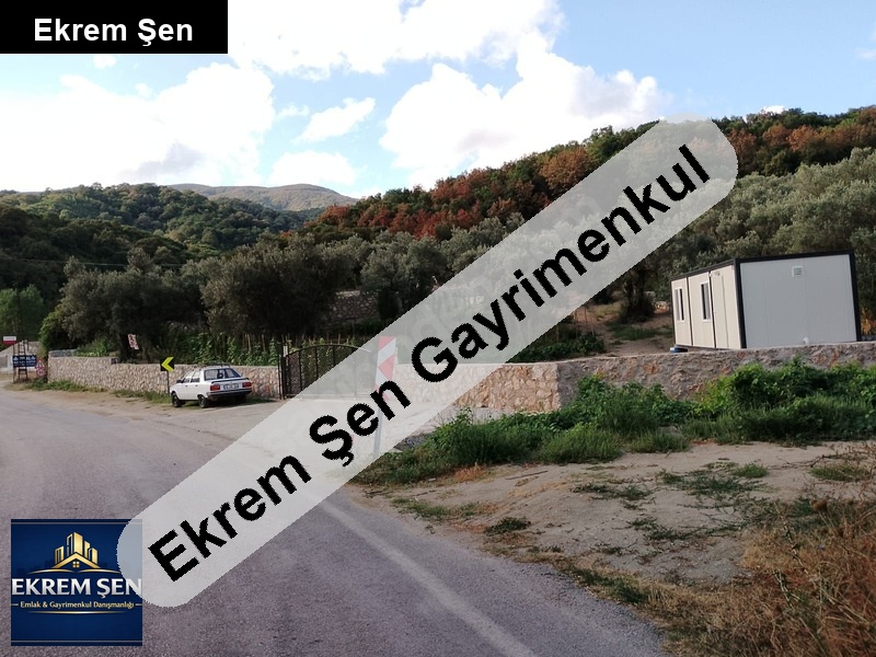 turankoy girişi ana asfalta cephe zeytinlik acil