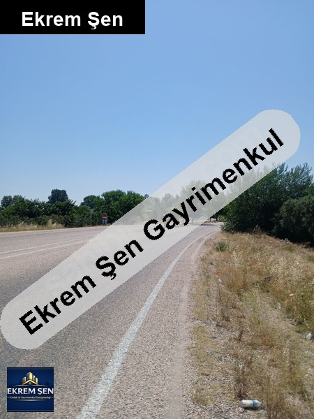 sahibinden satılık zeytinlik
