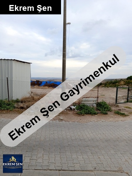 şi̇ri̇nçavuş koyu / bandirma koyun gi̇ri̇şi̇nde