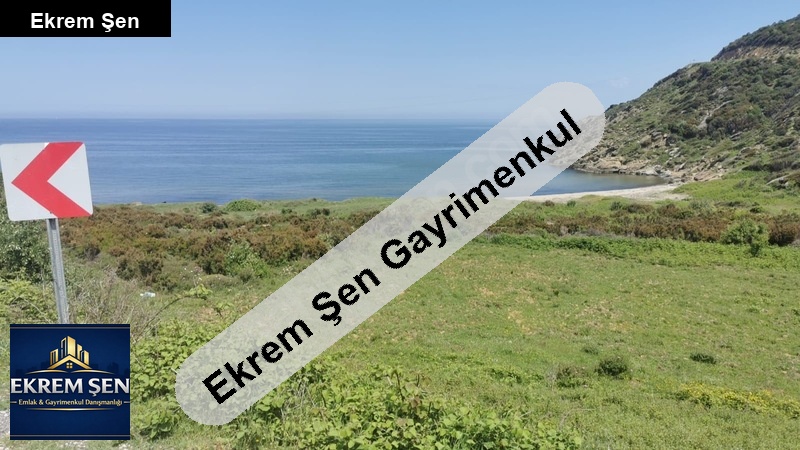 balikesi̇r erdek ballipinar