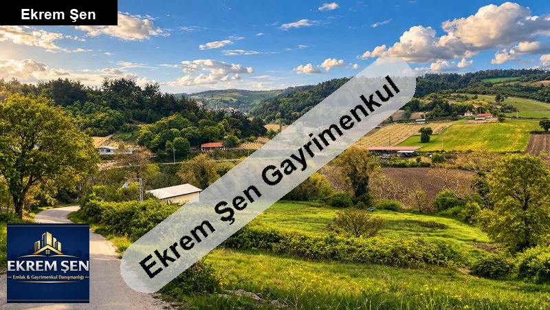 altıeylülde 5312 m² elektrik su yol olan verimli tarla