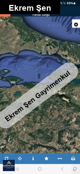 sahibinden satılık zeytinlik