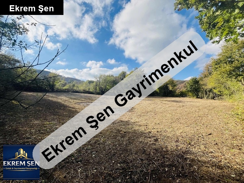 balikesi̇r gönen'de kare şekli̇nde, 1243 m2 tarla
