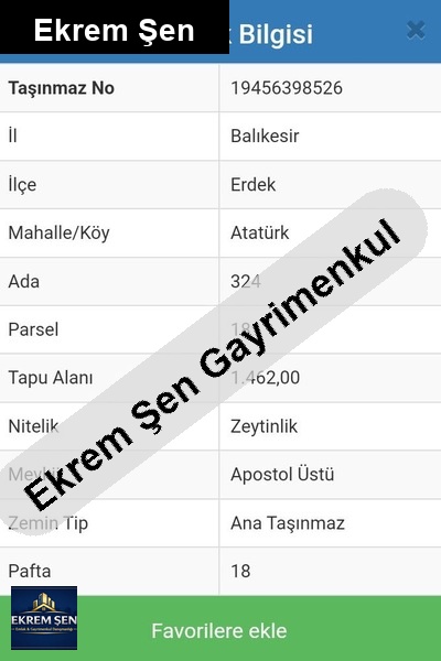 erdek apostol da satılık zeytinlik