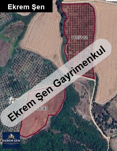 balıkesir manyas eski manyasta toplam 31.900 m² (18.400 + 13.50