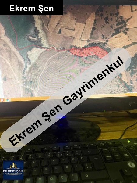 tek tapu 7.000 dönüm