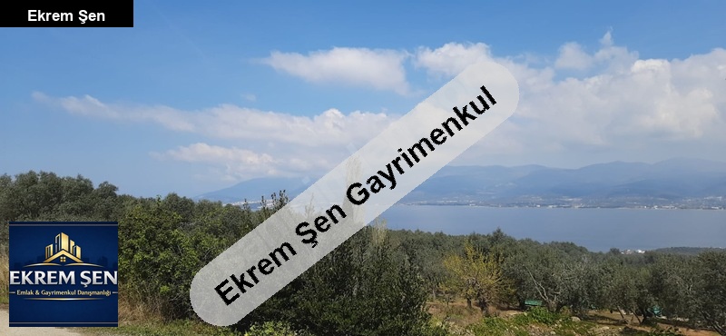 erdek körfezi ve deniz manzaralı, yol kenarı satılık zeytinlik