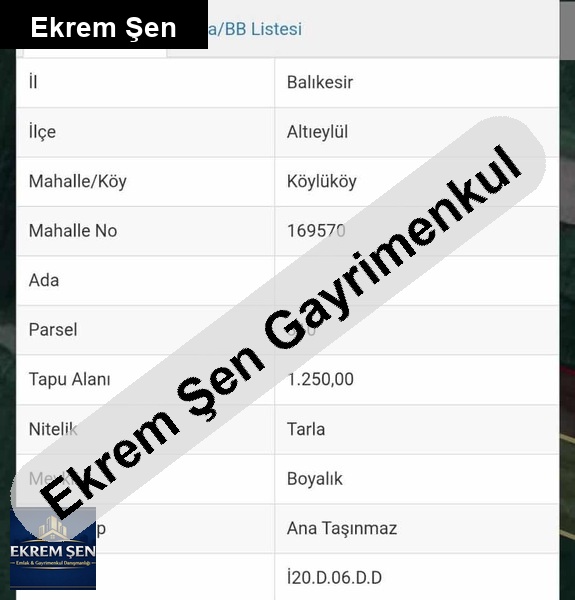 köylüköy'de sahibinden satılık tarla