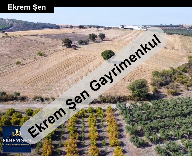 gönen gebeçınar da köy girişinde satılık 23 dönüm tarla