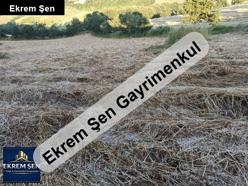 balikesi̇r gönen hari̇ka kelepi̇r 20 dönüm tarla çi̇ftli̇ğe uygun..