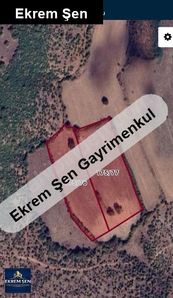 ata toprağı ihtiyaç nedeni ile satılık : (