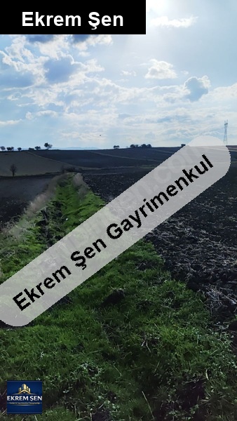 balıkesir / paşa köy de yatirimlik tarla