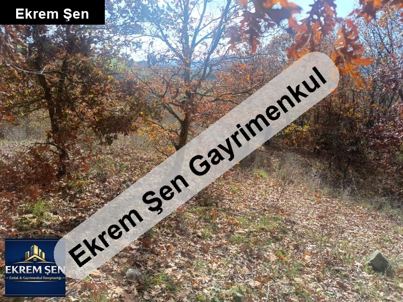 tarım ve hayvancılığa uygun tarla