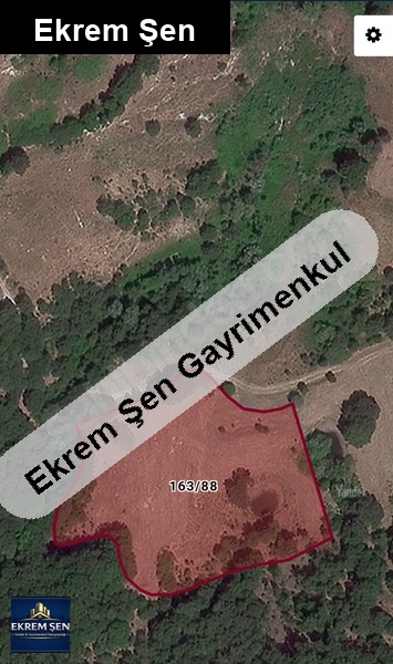 dönümü 100 bin den az kuyualan'da tarla