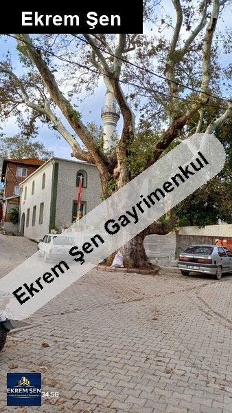denize 4 km.hem yayla havası,hem deniz kokusu,hem de doğal yaşam