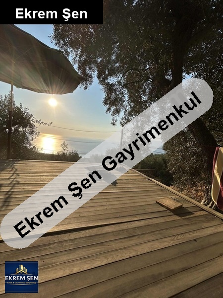 full deniz manzaralı önü kapanmaz zeytinlik