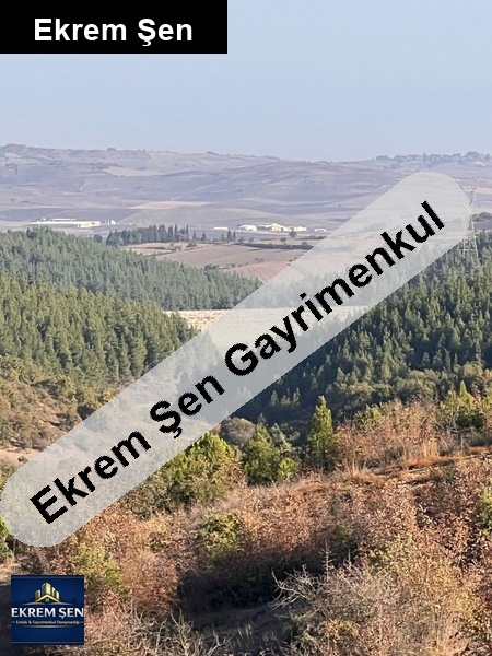 merkeze yakın imarlı arsa