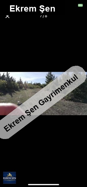 satılık tarla