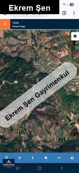 göl manzaralı
