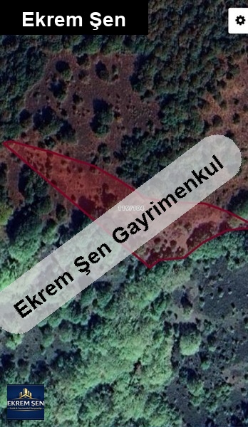 satilik tarla
