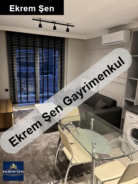 (sahibinden) kiralık eşyalı 1+1