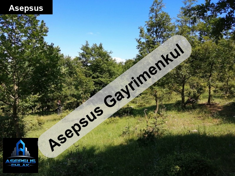 Asepsus Emlak'tan  şaroluk mh. 'sinde satılık arsa