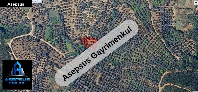 Asepsus Emlak'tan  yenice mh. 'sinde satılık arsa