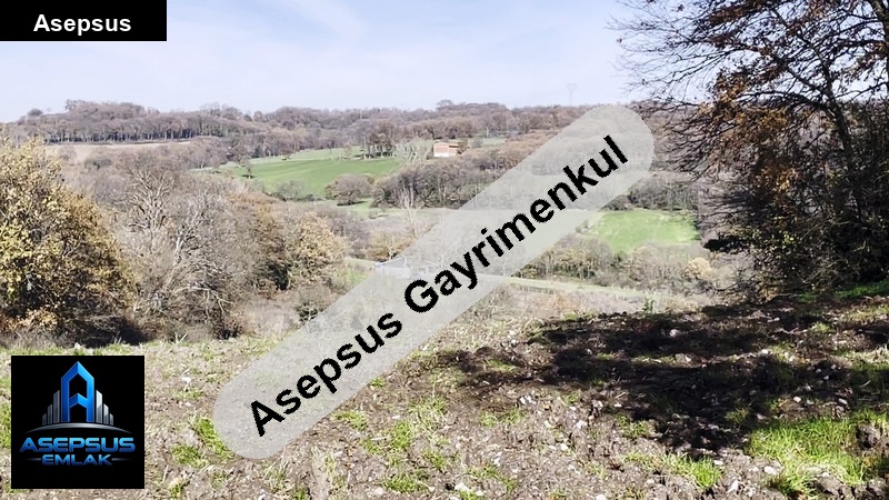 Asepsus Emlak'tan  alaşar mh. 'sinde satılık arsa
