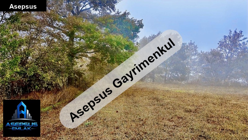 Asepsus Emlak'tan  sebepli mh. 'sinde satılık arsa