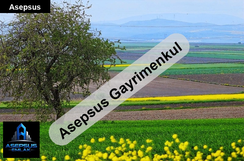 Asepsus Emlak'tan  bereketli mh. 'sinde satılık arsa