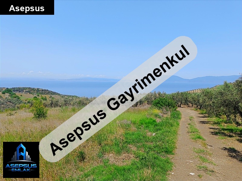 Asepsus Emlak'tan  misakça mh. 'sinde satılık arsa