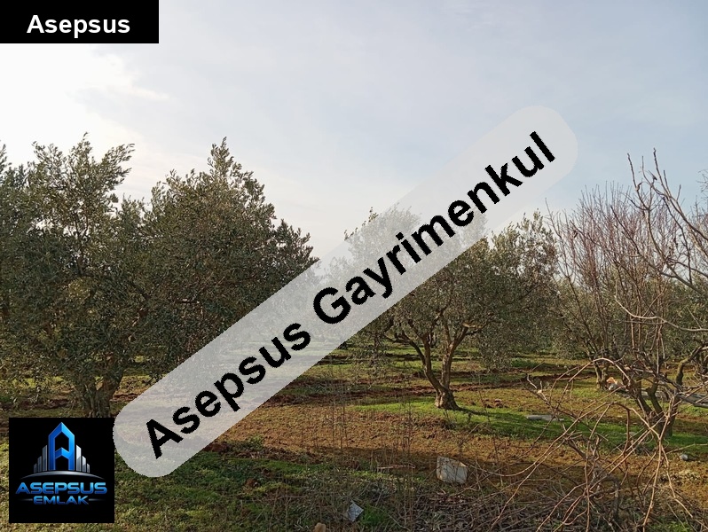 Asepsus Emlak'tan  doğruca mh. 'sinde satılık arsa