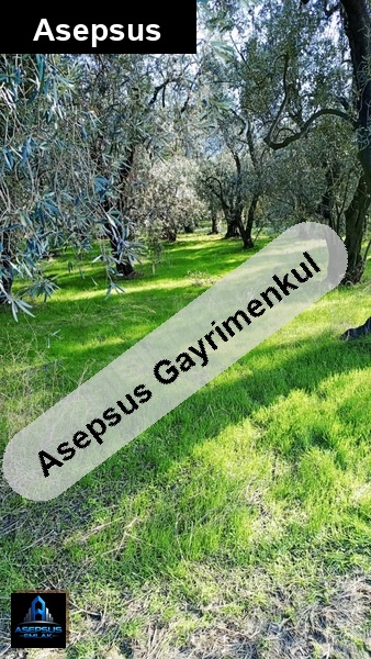 Asepsus Emlak'tan  edincik mh. 'sinde satılık arsa