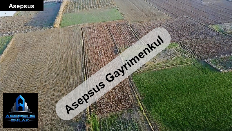 Asepsus Emlak'tan  ömerli mh. 'sinde satılık arsa
