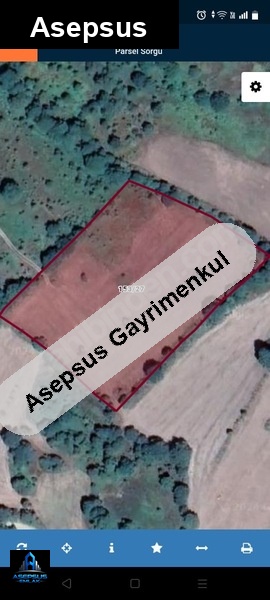 Asepsus Emlak'tan  beyoluk mh. 'sinde satılık arsa