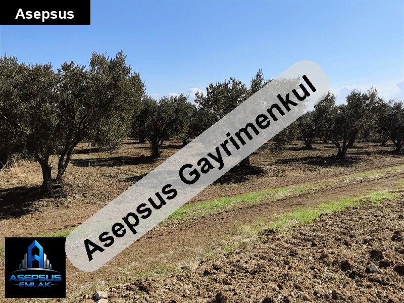 Asepsus Emlak'tan  yeniyenice mh. 'sinde satılık arsa