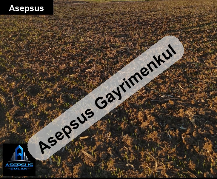 Asepsus Emlak'tan  ömerli mh. 'sinde satılık arsa