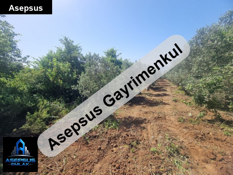 Asepsus Emlak'tan  yenice mh. 'sinde satılık arsa