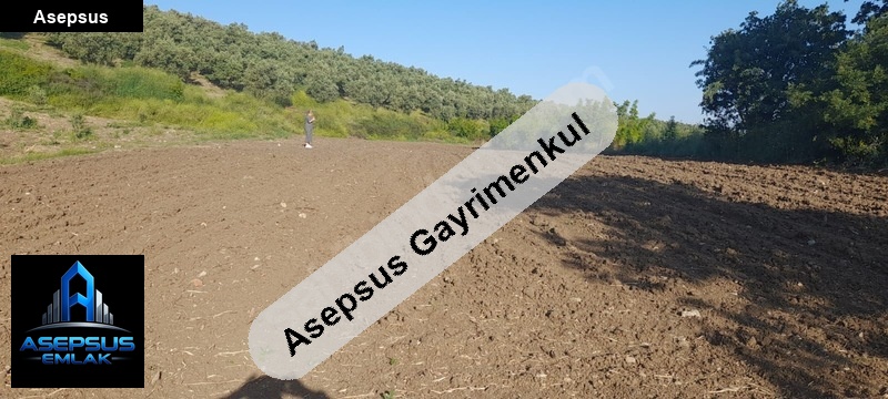 Asepsus Emlak'tan  havutça mh. 'sinde satılık arsa