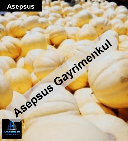 Asepsus Emlak'tan  yeşilçomlu mh. 'sinde satılık arsa