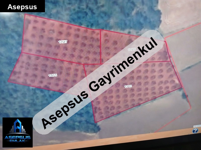 Asepsus Emlak'tan  kuşcenneti mh. 'sinde satılık arsa
